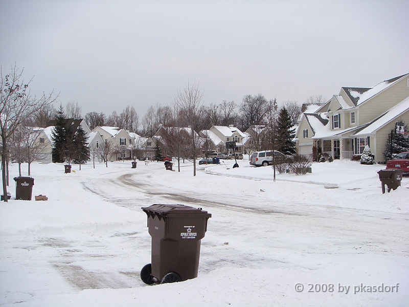 013 A2 Snowfall & Trees [2008 Dec 20].JPG - Digging out after a big snowfall in Ann Arbor, Michigan.